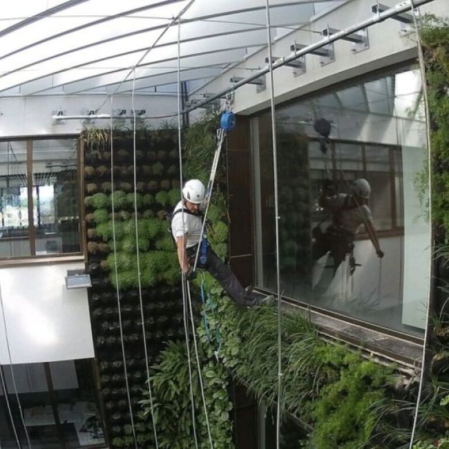 Línea de vida horizontal